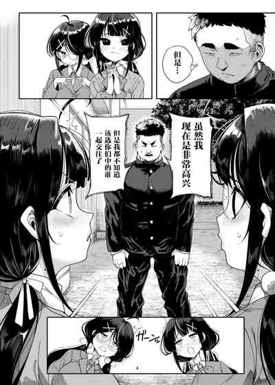第4页图