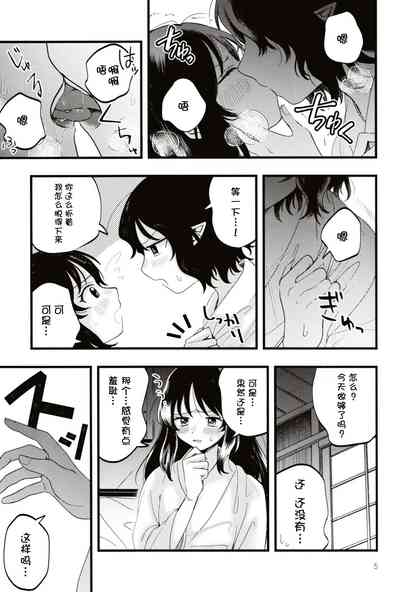 第4页图