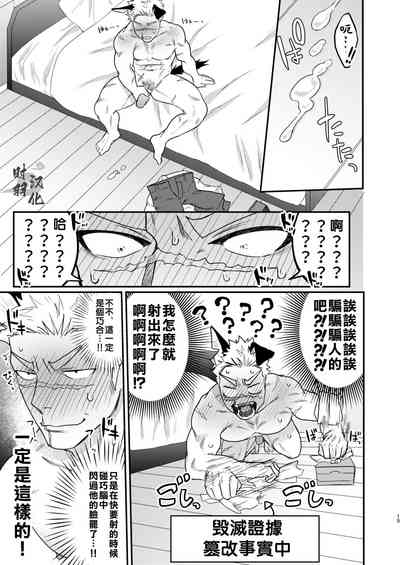 第12页图