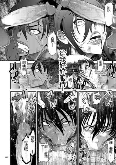 第220页图