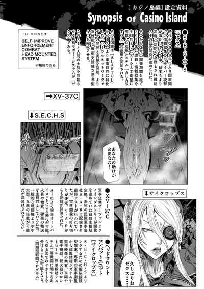 第248页图
