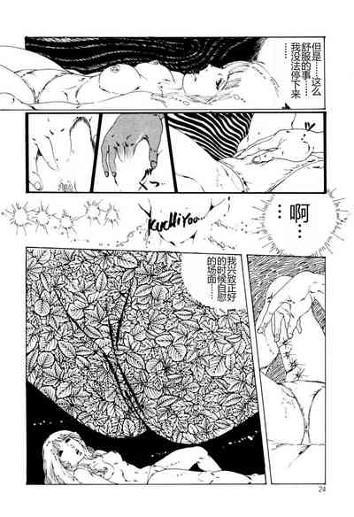 第24頁圖