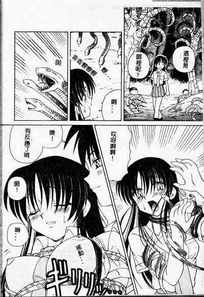 第144頁圖
