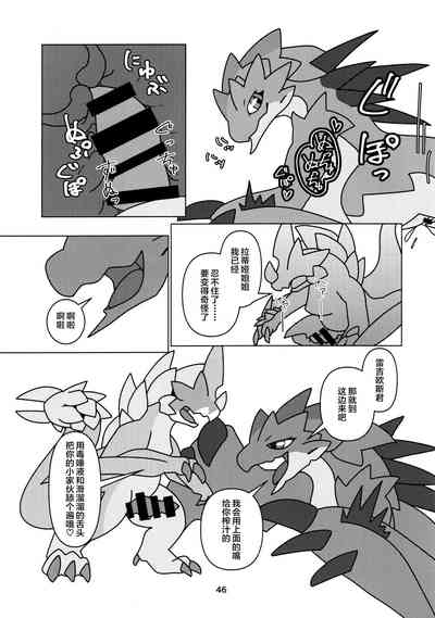 第48页图