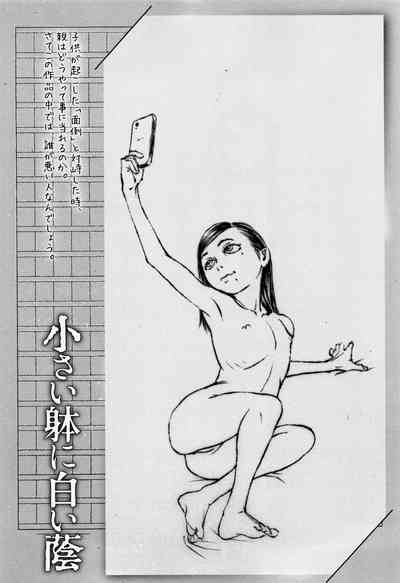 第120頁圖