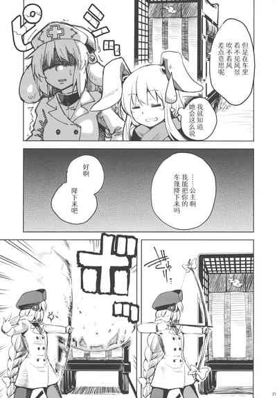 第20页图