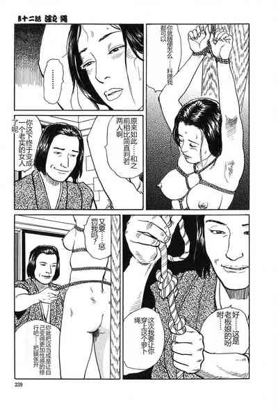 第240页图