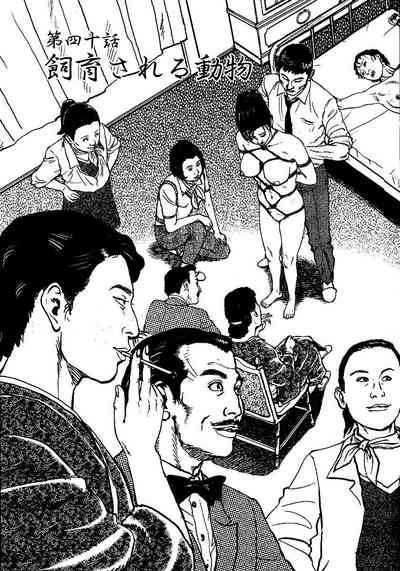 第136頁圖