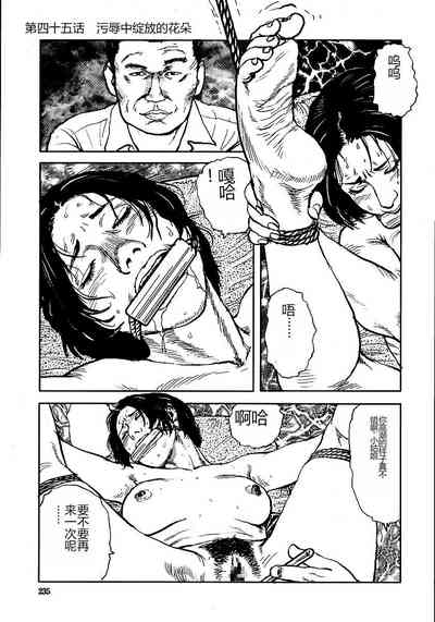 第240頁圖