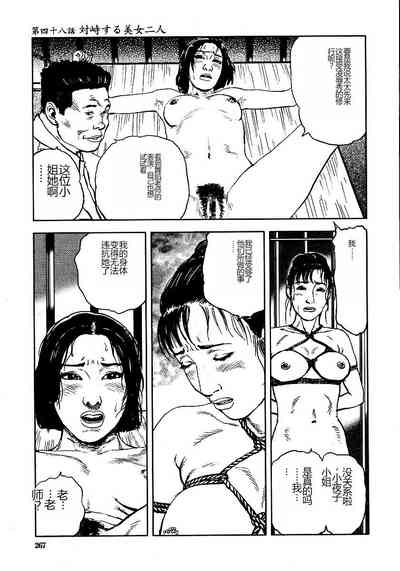 第272頁圖