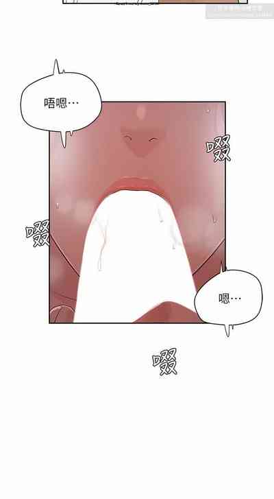 第384頁圖