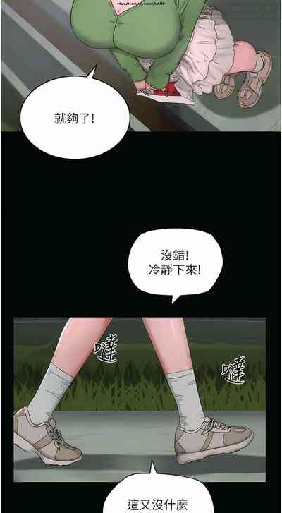 第504頁圖