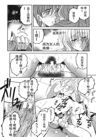 第56頁圖
