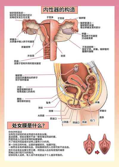 第16頁圖