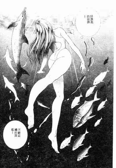 第156頁圖