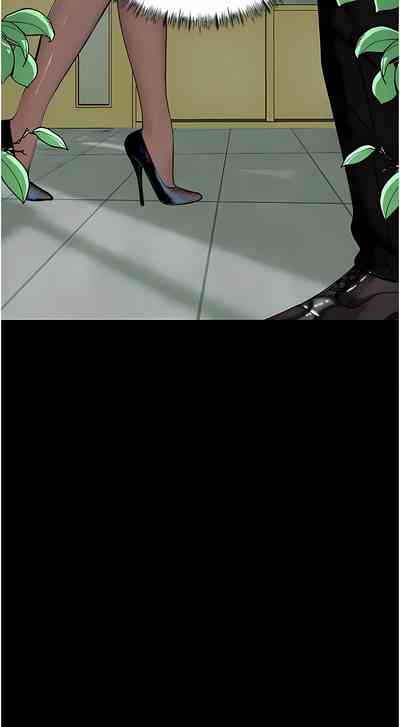 第240頁圖