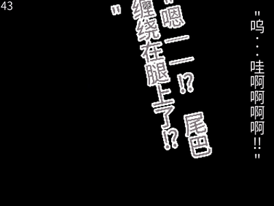 第48頁圖