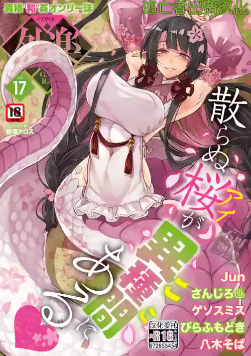 COMIC 外楽 Vol.17 封面 - HaSM.cc