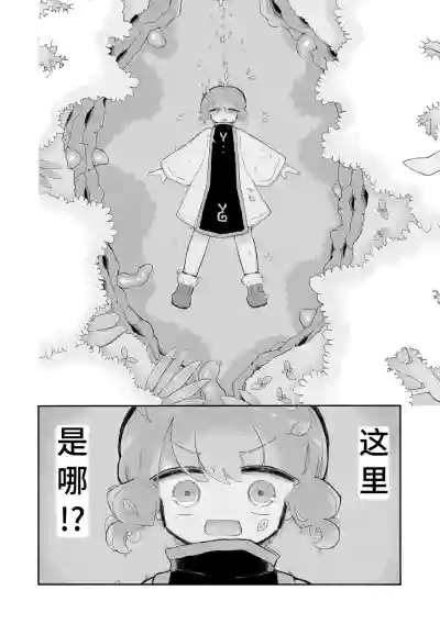 第8页图
