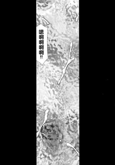 第28頁圖