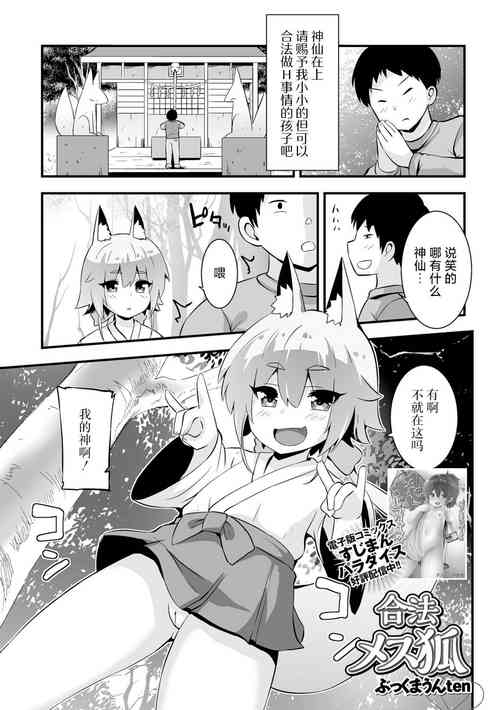 合法メス狐图