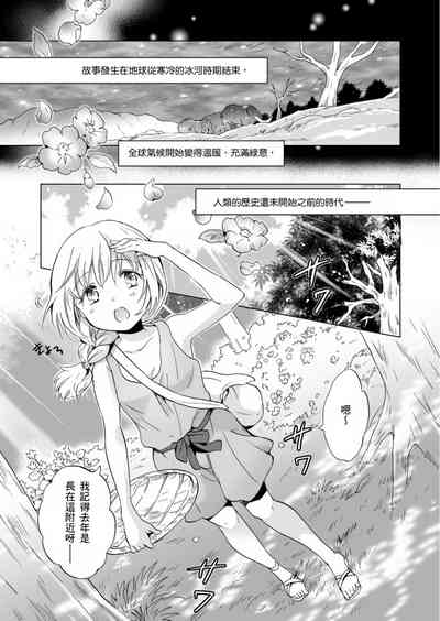 第244頁圖