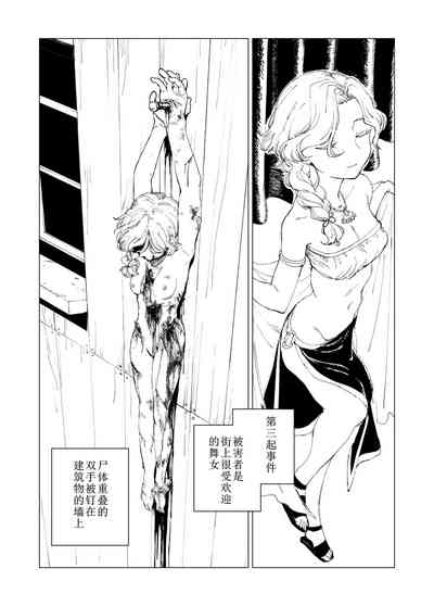 第8页图
