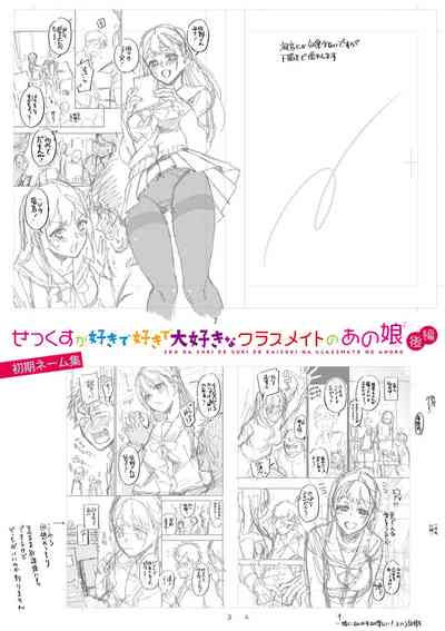 第236頁圖