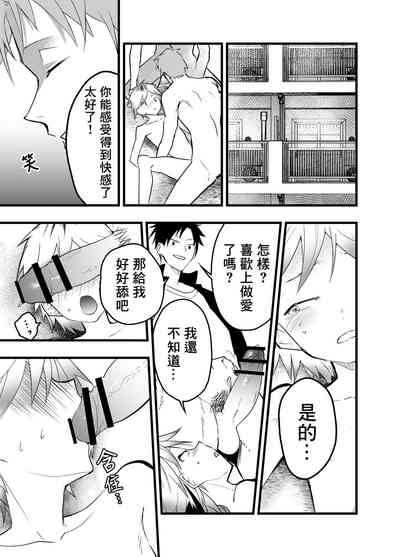 第20頁圖