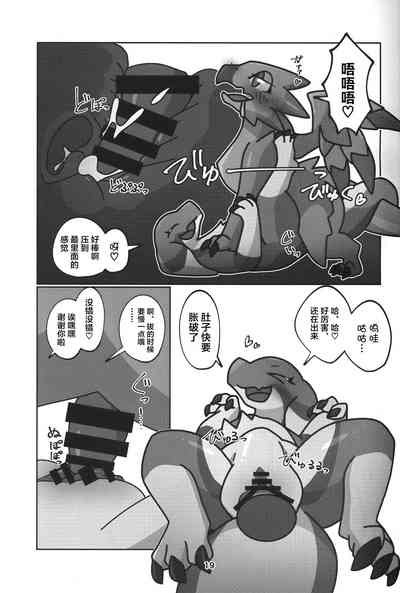 第20页图