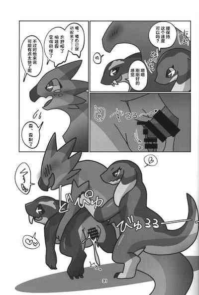 第32页图