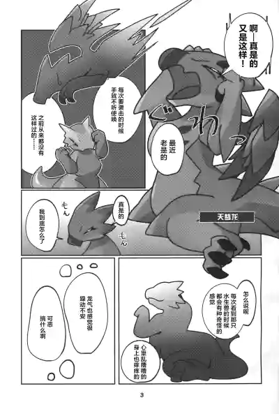 第4页图