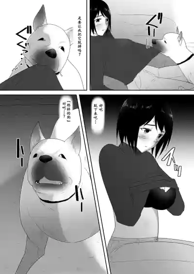 第16页图