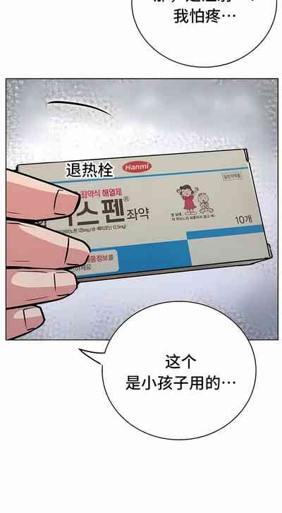 第516頁圖