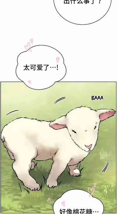 第556頁圖
