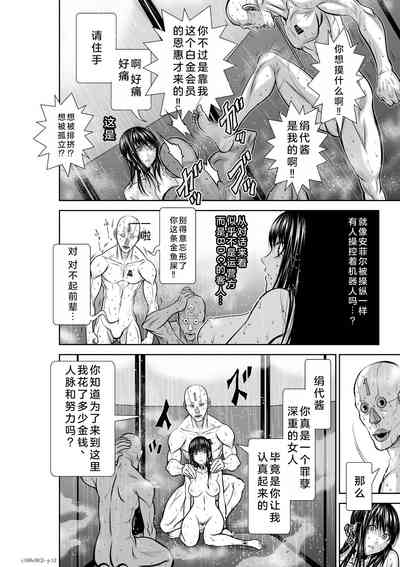 第248页图