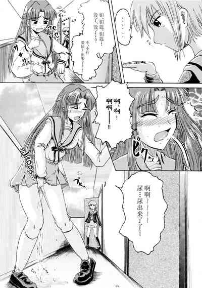 第20頁圖