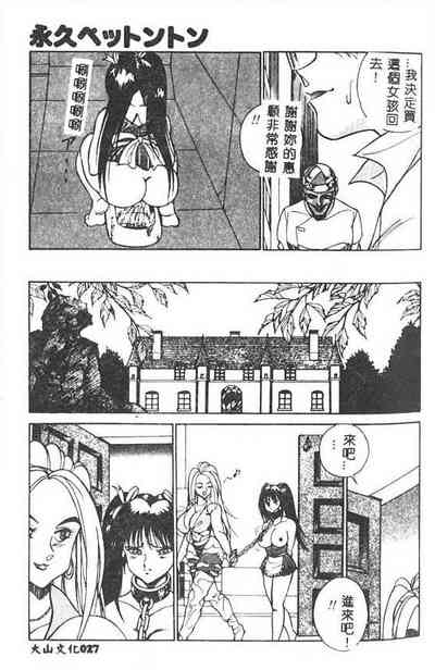 第28頁圖