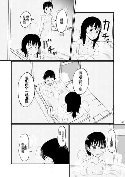 第44頁圖