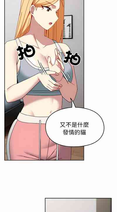 第520頁圖
