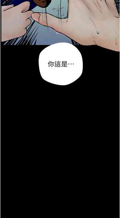第300頁圖