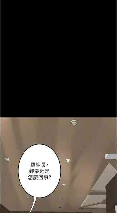 第336頁圖