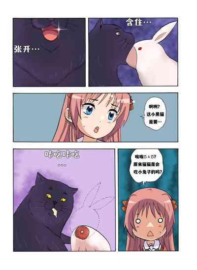 第496頁圖