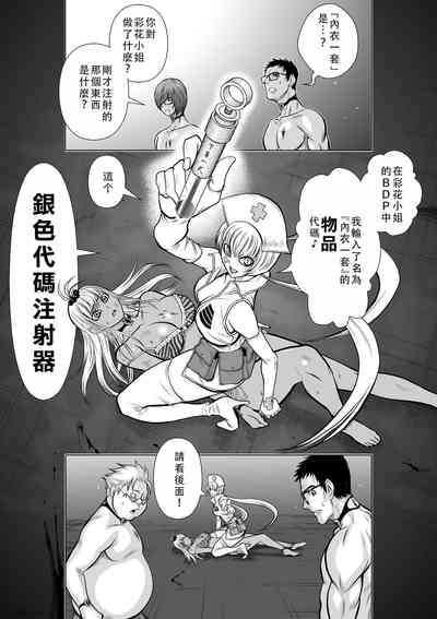 第84頁圖