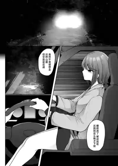 第4页图