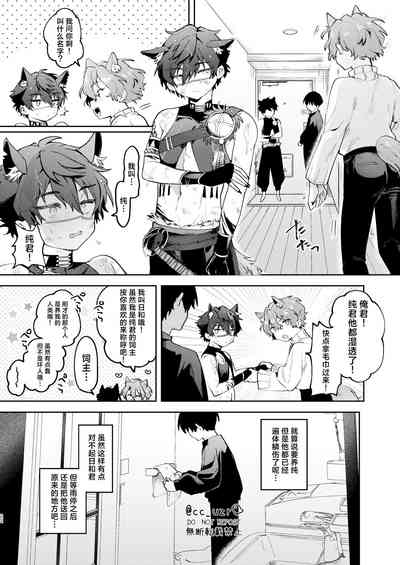第20页图