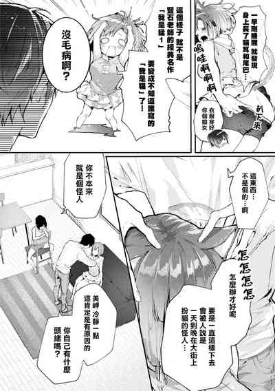 第48頁圖