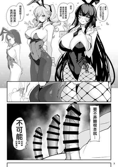 第4页图