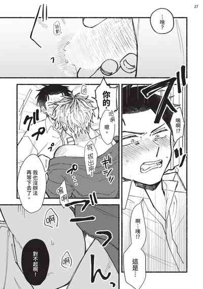 第28頁圖