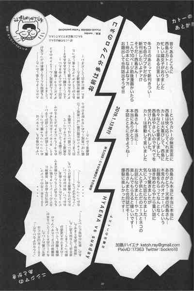 第20页图